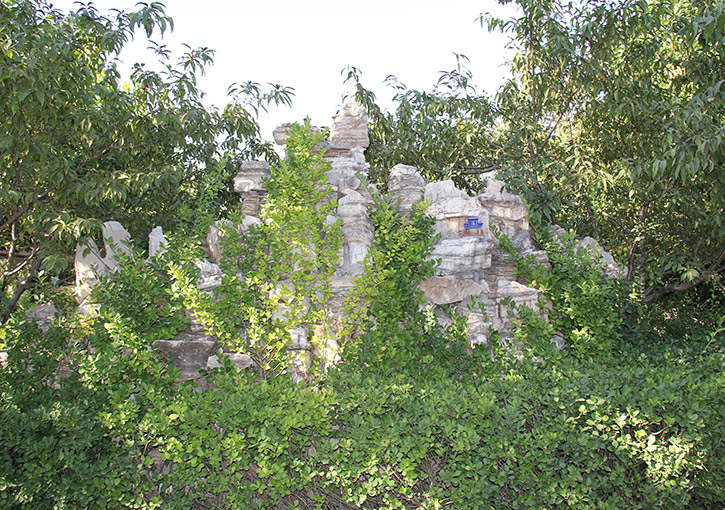 风景